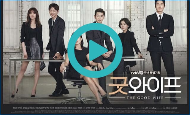 韓国ドラマ『グッドワイフ~彼女の決断~』を見る