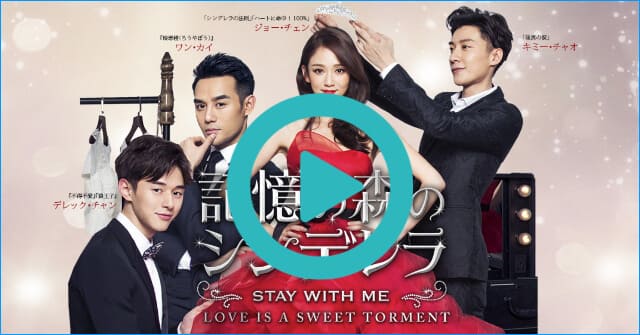 韓流・韓国ドラマ『記憶の森のシンデレラ~STAY WITH ME~』を見る