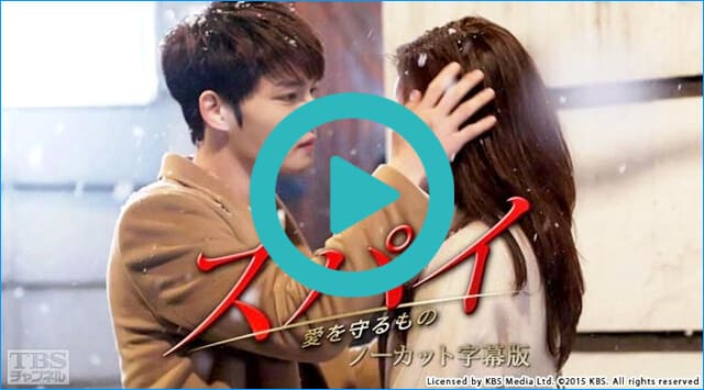 韓国ドラマ『スパイ~愛を守るもの~』を見る