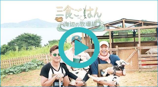 韓国ドラマ『三食ごはん 海辺の牧場編』を見る
