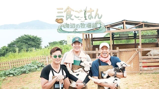 韓国ドラマ『三食ごはん 海辺の牧場編』を見る